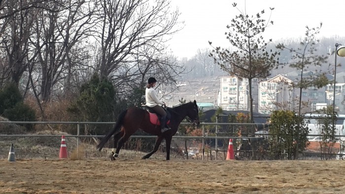20150329_163738.jpg