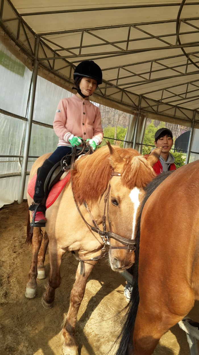 20150408_163125.jpg