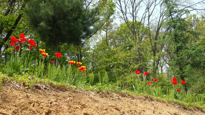 20150501_115947.jpg