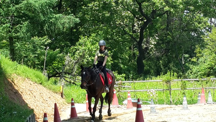 20150516_114408.jpg