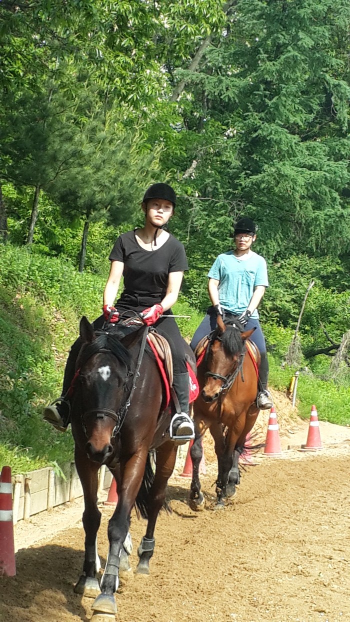 20150517_094559.jpg