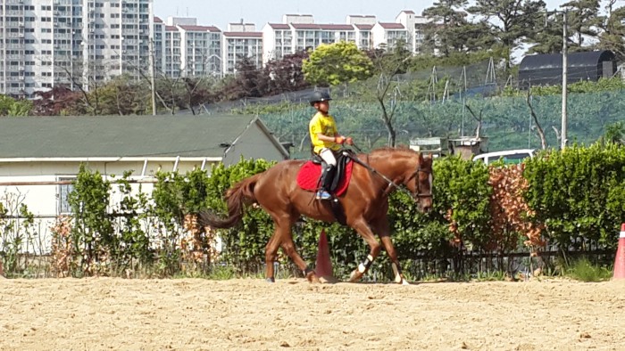 20150521_153943.jpg