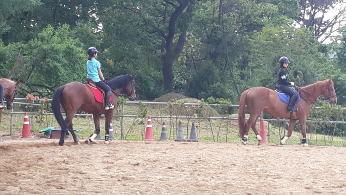 20150522_174223.jpg
