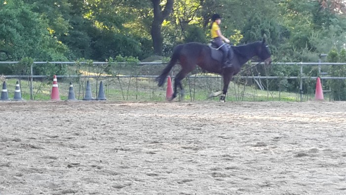 20150523_175520.jpg