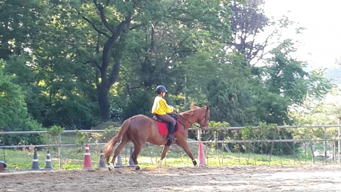 20150526_162901.jpg