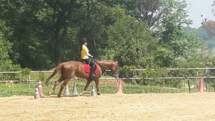 20150610_095043.jpg