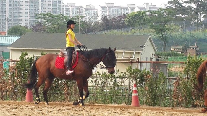 20150613_173136.jpg