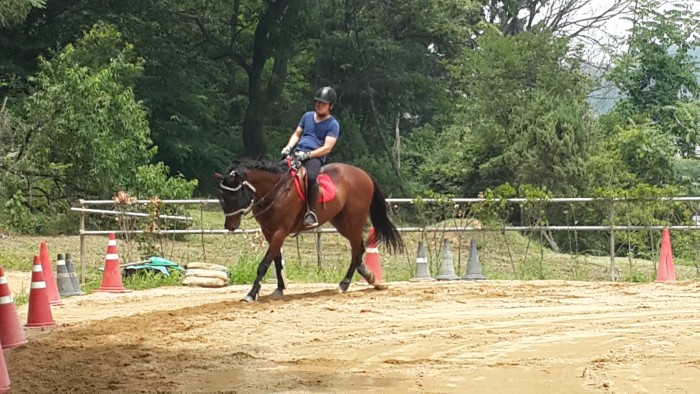 20150624_115715.jpg