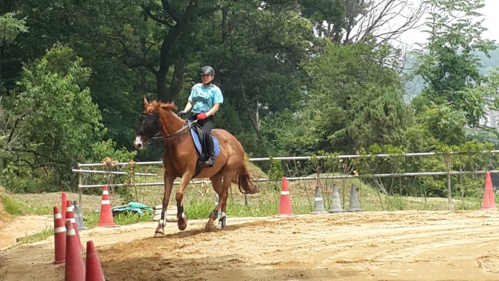 20150624_115923.jpg