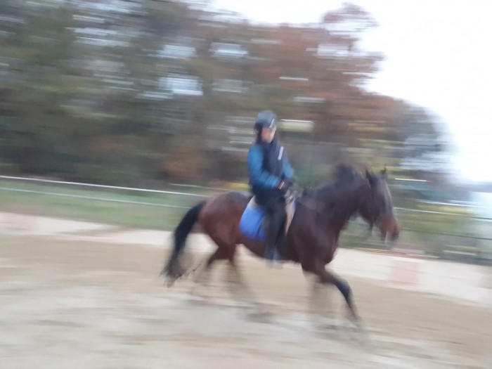 20151114_172519.jpg