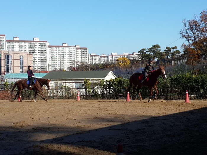 20151117_110202.jpg