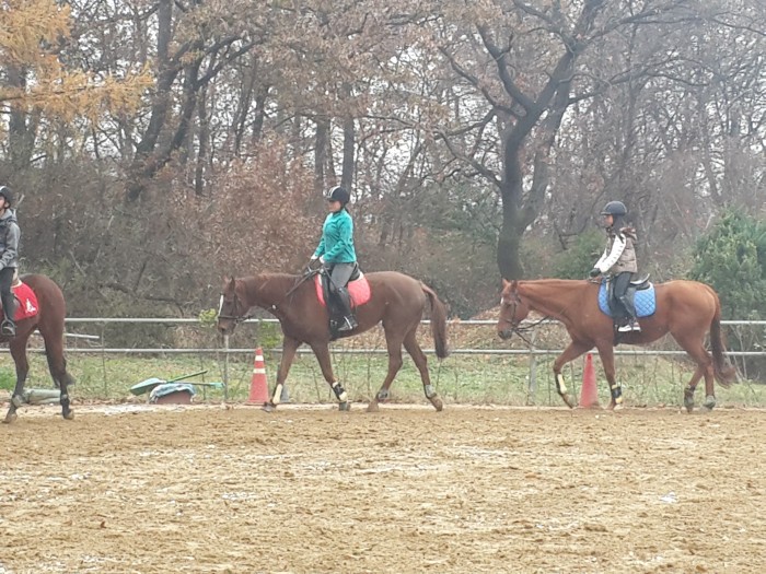 20151128_104308.jpg