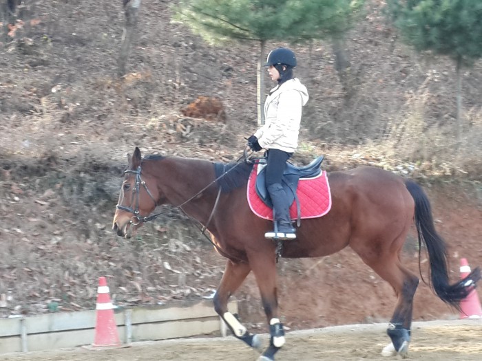 20151206_142147.jpg