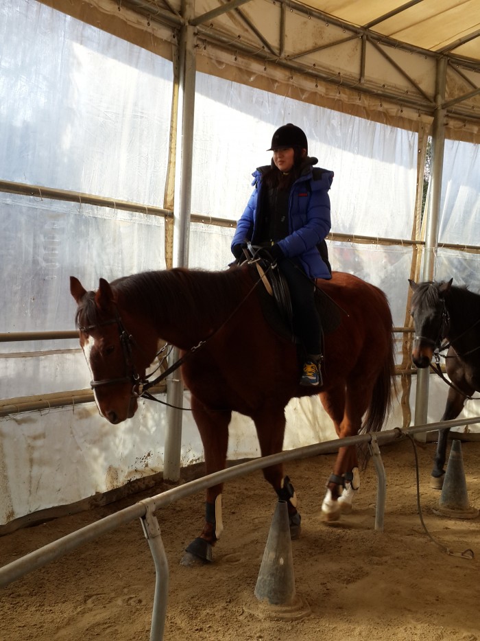 20160121_113720.jpg