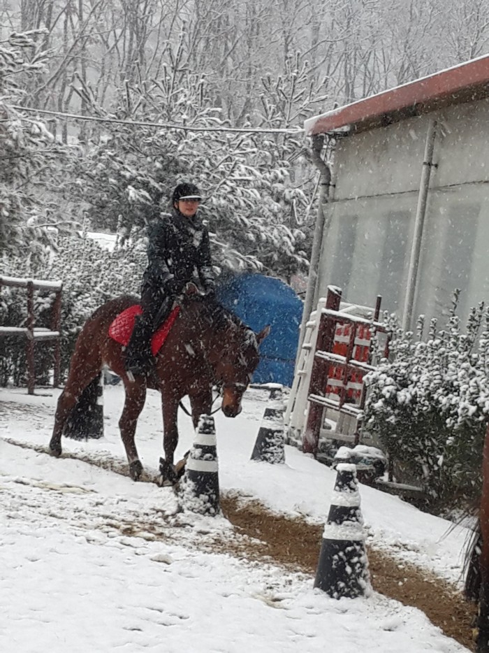 20160228_165834.jpg