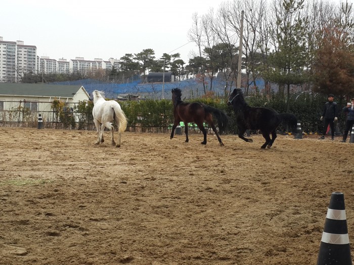 20160308_112652.jpg