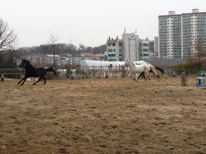 20160308_112655.jpg