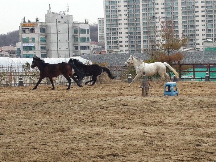 20160308_112855.jpg