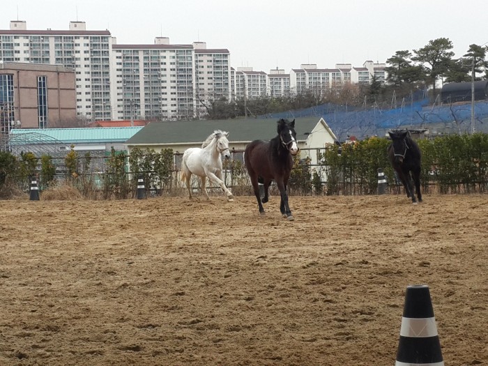 20160308_113353.jpg