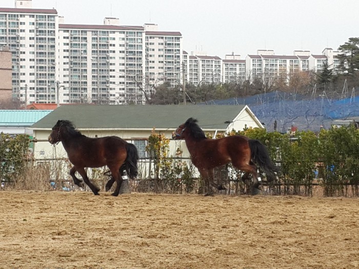 20160308_115028.jpg