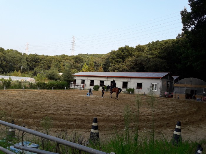20160824_175132.jpg