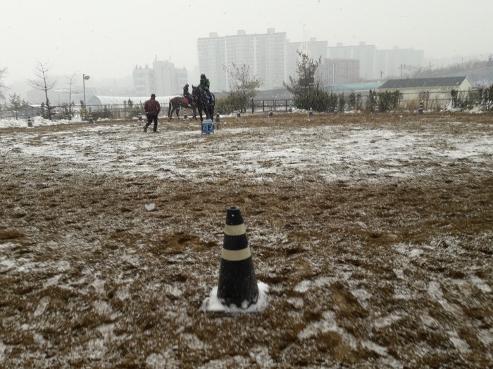 20170121_143930.jpg