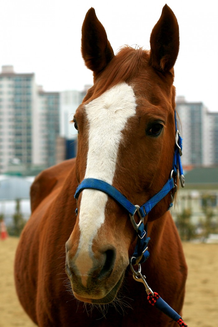 7cbebe14f3441a6d23a147b226f8b537.JPG
